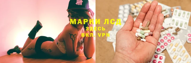 shop наркотические препараты  Каргат  Лсд 25 экстази ecstasy 